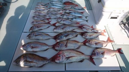 フィッシングボートACE(エース) 釣果