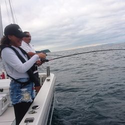 フィッシングボートACE(エース) 釣果