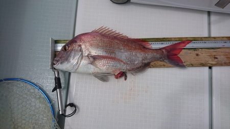 フィッシングボートACE(エース) 釣果