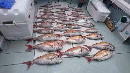 フィッシングボートACE(エース) 釣果