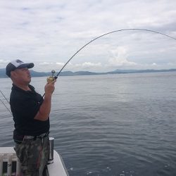 フィッシングボートACE(エース) 釣果