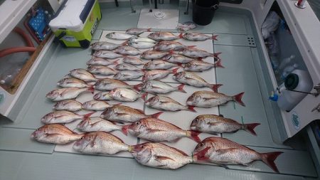 フィッシングボートACE(エース) 釣果