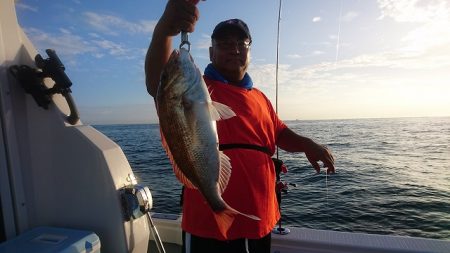 フィッシングボートACE(エース) 釣果