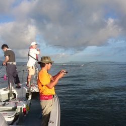 フィッシングボートACE（エース） 釣果