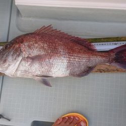 フィッシングボートACE（エース） 釣果