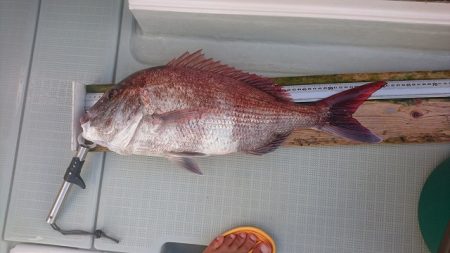 フィッシングボートACE（エース） 釣果