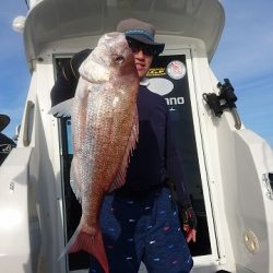 フィッシングボートACE(エース) 釣果