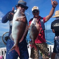 フィッシングボートACE(エース) 釣果