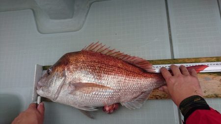 フィッシングボートACE(エース) 釣果