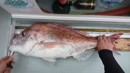 フィッシングボートACE(エース) 釣果