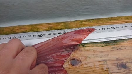 フィッシングボートACE(エース) 釣果