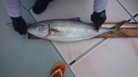 フィッシングボートACE(エース) 釣果