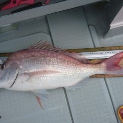 フィッシングボートACE(エース) 釣果