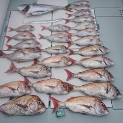 フィッシングボートACE(エース) 釣果