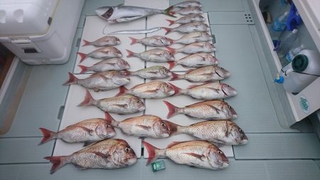 フィッシングボートACE(エース) 釣果