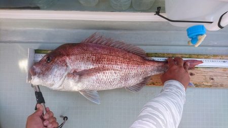 フィッシングボートACE(エース) 釣果