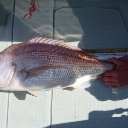 フィッシングボートACE(エース) 釣果