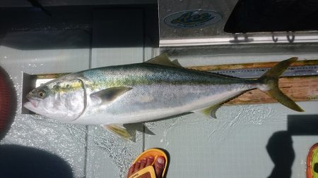 フィッシングボートACE(エース) 釣果