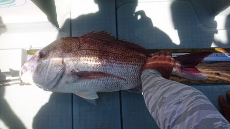 フィッシングボートACE(エース) 釣果