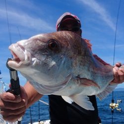 フィッシングボートACE(エース) 釣果