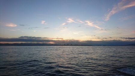 フィッシングボートACE(エース) 釣果