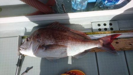 フィッシングボートACE(エース) 釣果