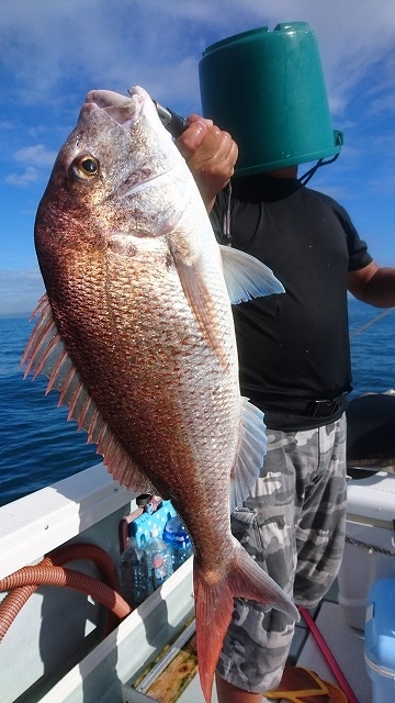 フィッシングボートACE（エース） 釣果