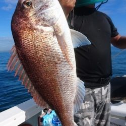 フィッシングボートACE(エース) 釣果