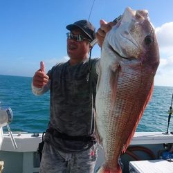 フィッシングボートACE(エース) 釣果