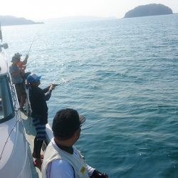 フィッシングボートACE(エース) 釣果