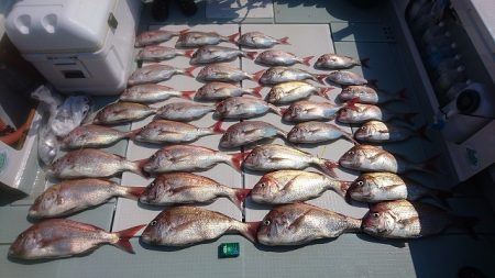 フィッシングボートACE(エース) 釣果