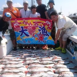 フィッシングボートACE(エース) 釣果