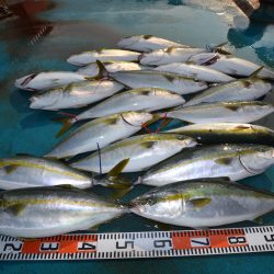 アジアマリンサービス 釣果