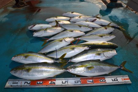 アジアマリンサービス 釣果