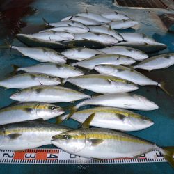 アジアマリンサービス 釣果