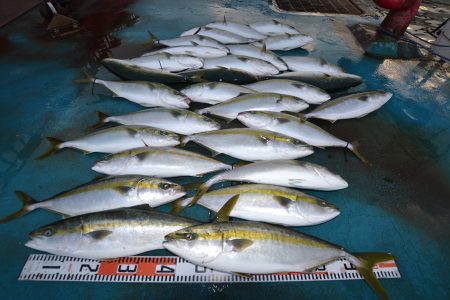 アジアマリンサービス 釣果