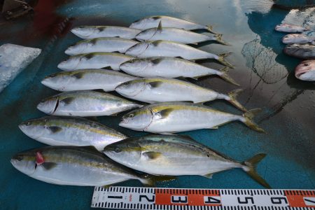 アジアマリンサービス 釣果