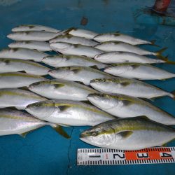 アジアマリンサービス 釣果