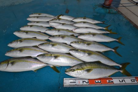 アジアマリンサービス 釣果