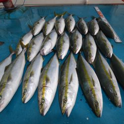 アジアマリンサービス 釣果