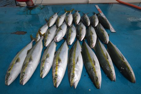 アジアマリンサービス 釣果