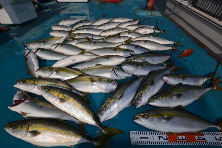 アジアマリンサービス 釣果