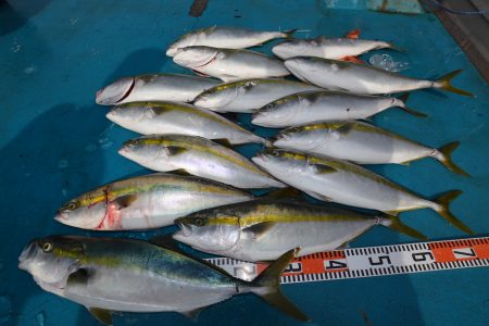 アジアマリンサービス 釣果