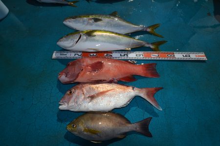 アジアマリンサービス 釣果