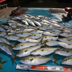 アジアマリンサービス 釣果