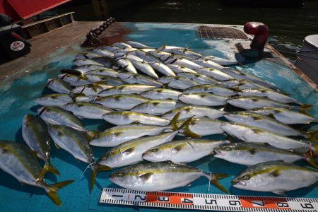アジアマリンサービス 釣果