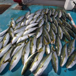 アジアマリンサービス 釣果