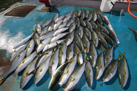 アジアマリンサービス 釣果