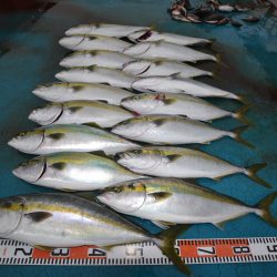 アジアマリンサービス 釣果