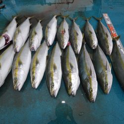 アジアマリンサービス 釣果